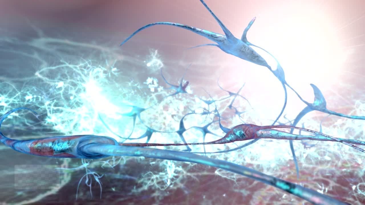 emBODYMINDing® Lebensschule Synapsen Neurone