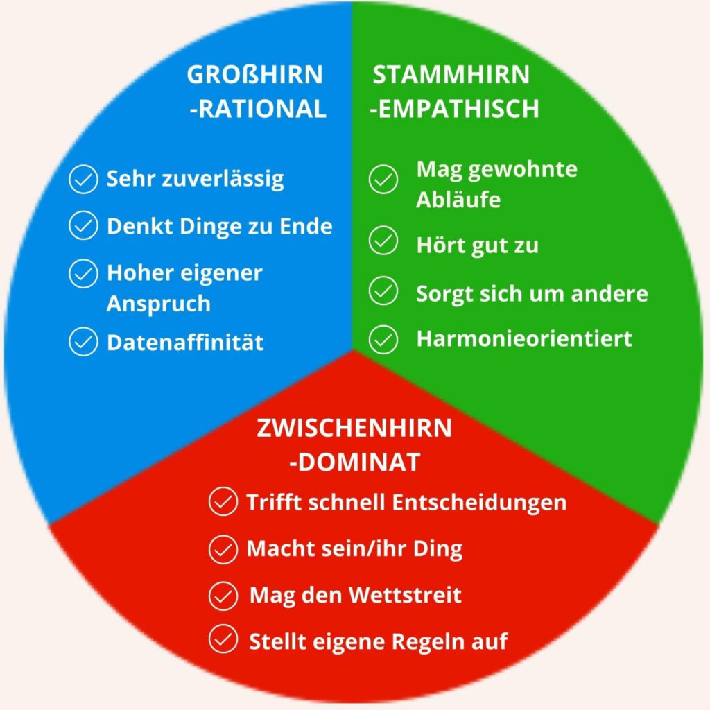 emBODYMINDing® Lebensschule Kreis mit rot grün blau Charaktereigenschaften